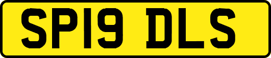 SP19DLS