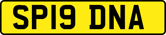 SP19DNA