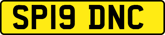 SP19DNC