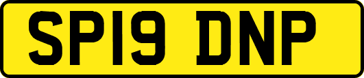 SP19DNP