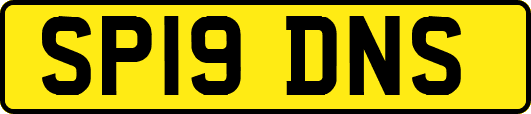 SP19DNS