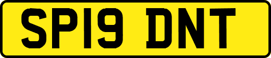 SP19DNT