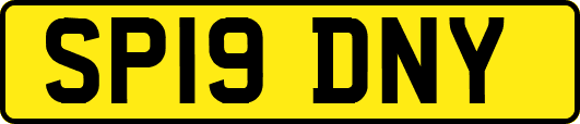 SP19DNY