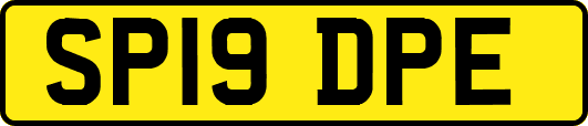 SP19DPE