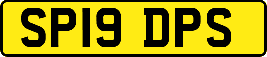 SP19DPS