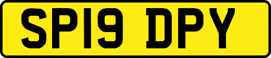 SP19DPY
