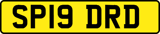 SP19DRD