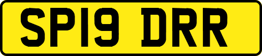 SP19DRR