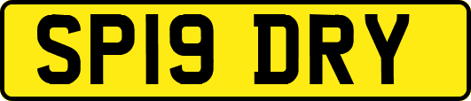 SP19DRY