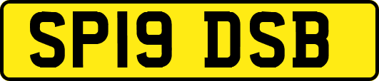 SP19DSB