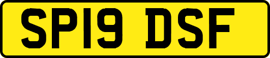 SP19DSF