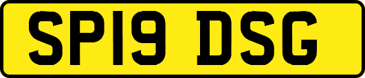SP19DSG