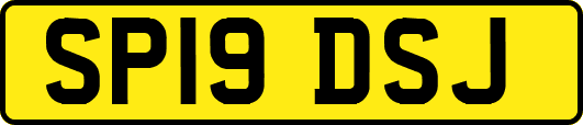 SP19DSJ