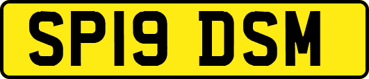 SP19DSM
