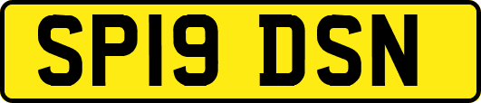 SP19DSN