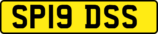 SP19DSS