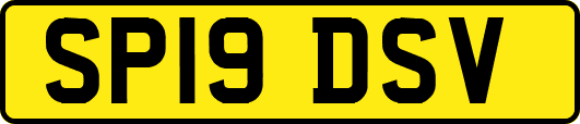 SP19DSV