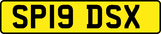 SP19DSX