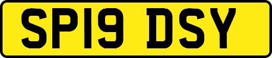 SP19DSY