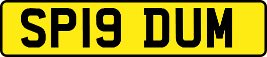 SP19DUM