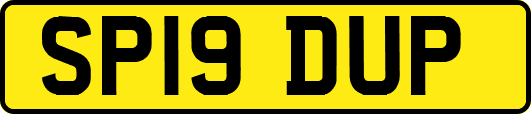 SP19DUP