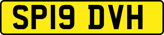 SP19DVH