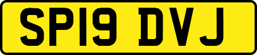 SP19DVJ