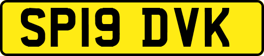 SP19DVK