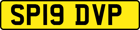 SP19DVP