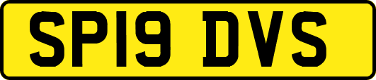SP19DVS