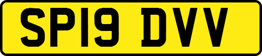 SP19DVV