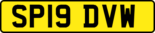 SP19DVW
