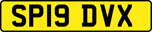 SP19DVX