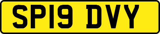 SP19DVY