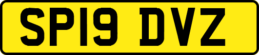 SP19DVZ