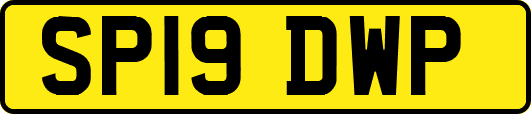 SP19DWP