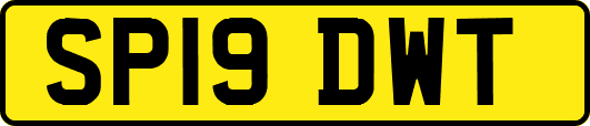 SP19DWT
