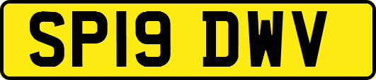 SP19DWV