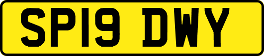 SP19DWY