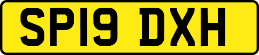 SP19DXH