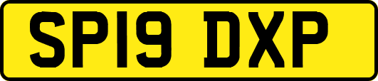 SP19DXP