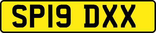 SP19DXX