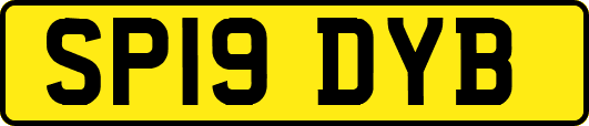 SP19DYB