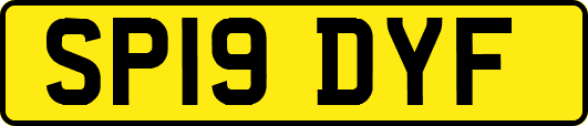SP19DYF
