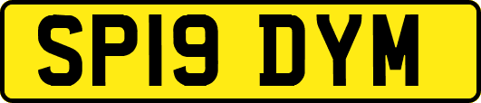 SP19DYM