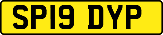 SP19DYP