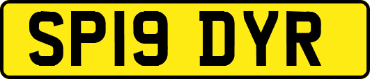 SP19DYR