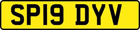 SP19DYV