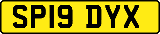 SP19DYX