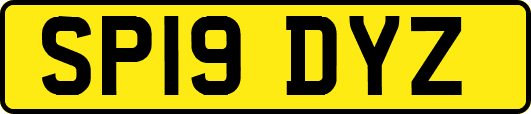 SP19DYZ